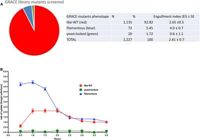 Genetic Screening of Candida albicans Inactivation Mutants Identifies New Genes Involved in Macrophage-Fungal Cell Interactions